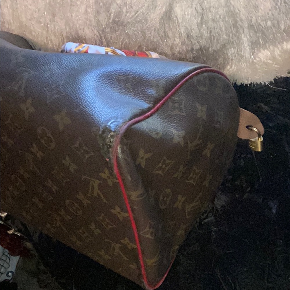 Louis Vuitton Speedy Special Edition Bag - Picture 16 of 16